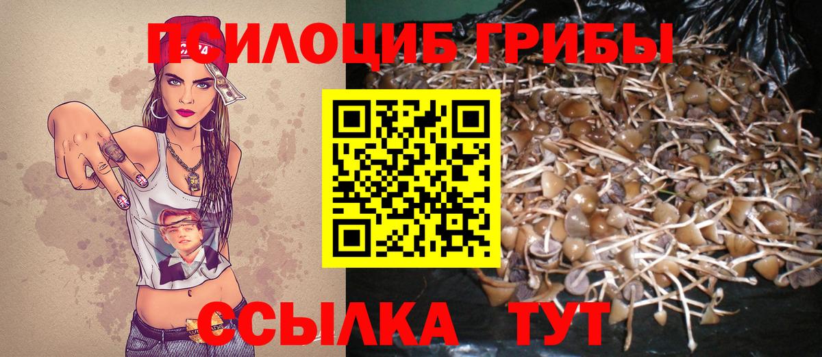 Озёрск  Псилоцибиновые грибы GOLDEN TEACHER  Вход с VPN 