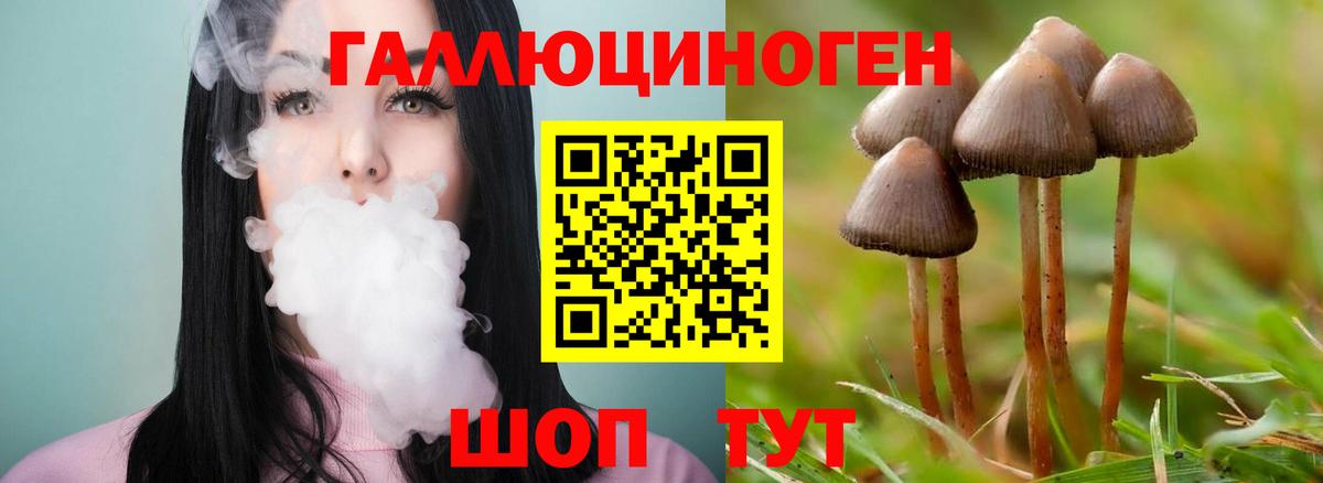 Псилоцибиновые грибы прущие грибы Озёрск